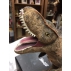 Steiff Jurassic Park T Rex 355974 - view 5