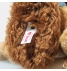 Steiff Disney Lady 70th Anniversary 356223 - view 5