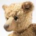 Steiff 1905 PAB 43 Teddy Bear Replica - view 3