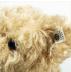 Steiff 1907 Teddy Bear Replica - view 2