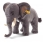 Steiff Studio 75cm Baby Elephant  501470 - view 1