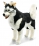 Steiff Studio Husky 502996 - view 1