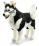 Steiff Studio Husky - view 1