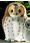 Kosen Tawny Owl 5400 - view 1