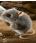 Kosen Grey Mouse  - view 1