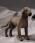 Kosen Great Dane Miniature 6010 - view 1