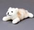 Kosen Polar Wolf Puppy - view 1