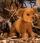 Kosen Golden Lion Cub  - view 1
