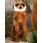 Kosen Meerkat 6370 - view 2