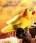 Kosen Yellow Lovebird 6632 - view 1