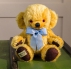 Merrythought Cheeky Bear T10HC - view 3